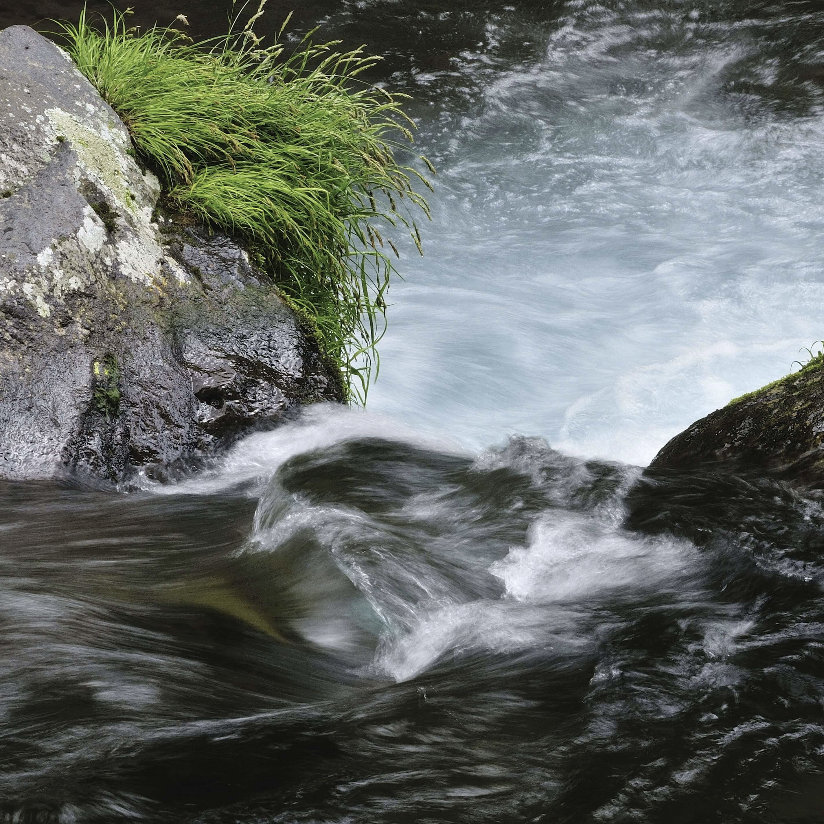 水｜八ヶ岳の伏流水